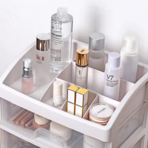 IMG_0070 cosmetics storage box