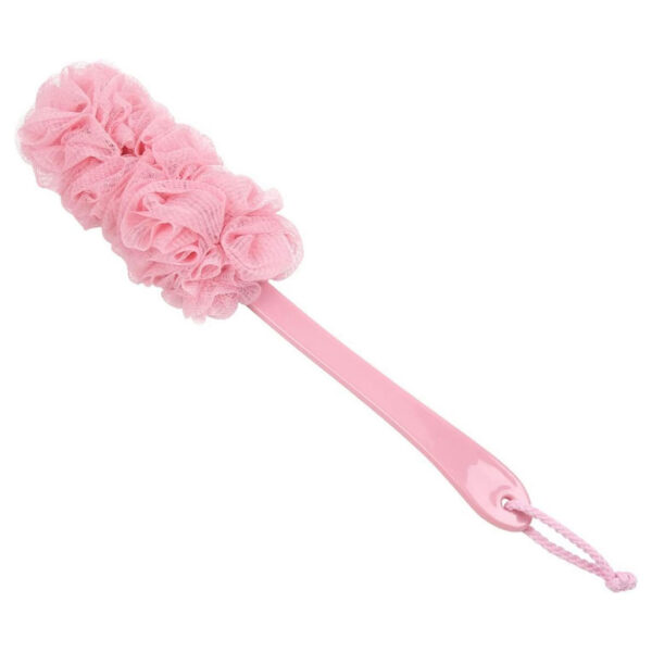Long Handle Mesh Back Scrubber