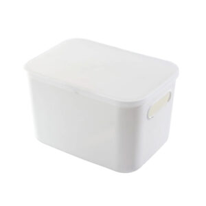 Plastic-Storage-Container-2 plastic storage container