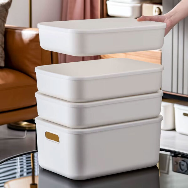 Plastic Storage Container