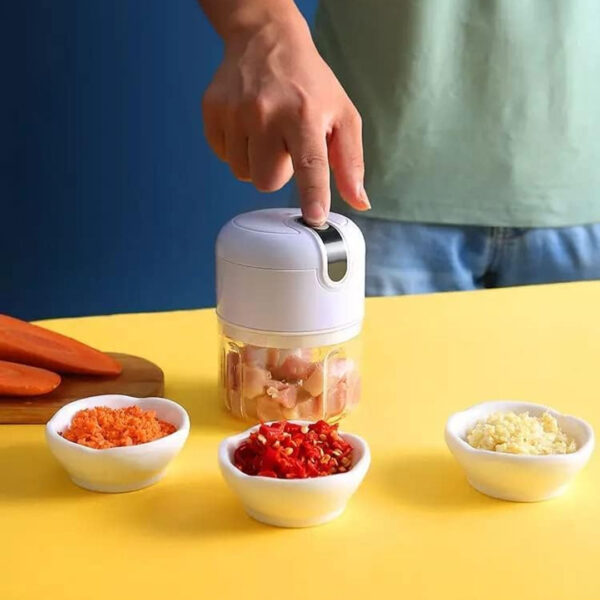 mini electric chopper