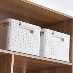 storage box 2 Foldable Storage Box with Lid and Rollers