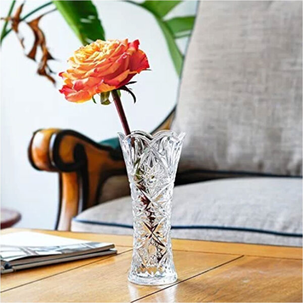 23.5cm Elegant Glass Vase