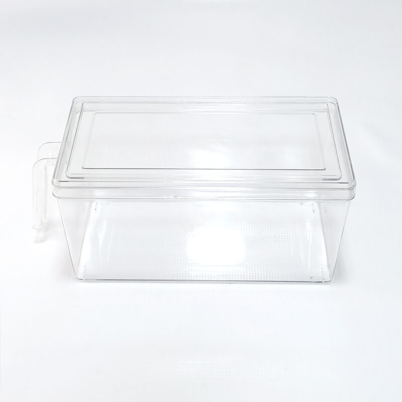 Fridge Storage Container
