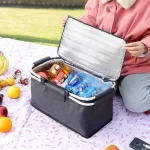 picnic bag