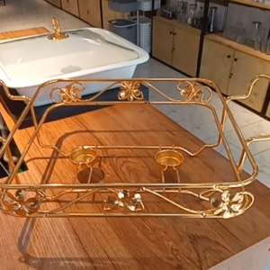 Screenshot 2024-04-30 153135 portable food warmer with golden base