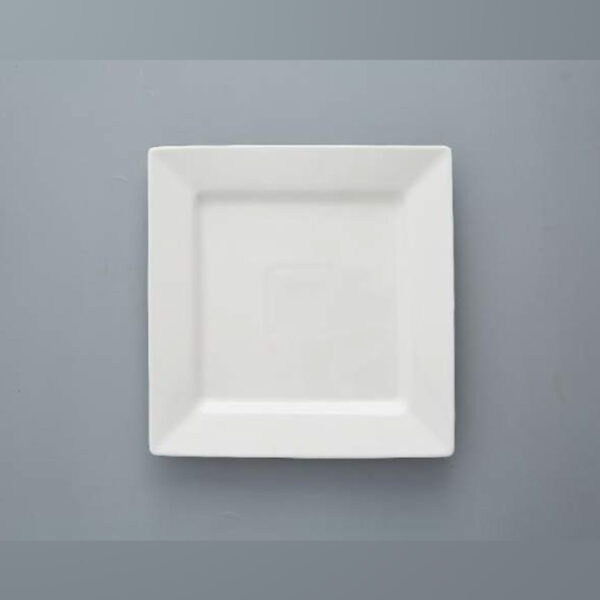 Porcelain Deep Square Plate