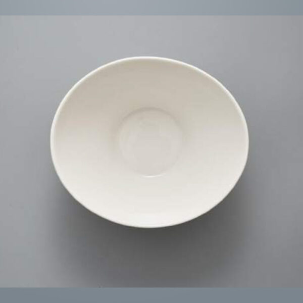 Porcelain Angled Bowl