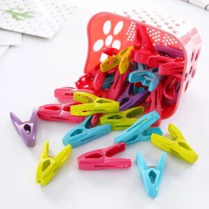 Laundry Pegs - 30pc Set