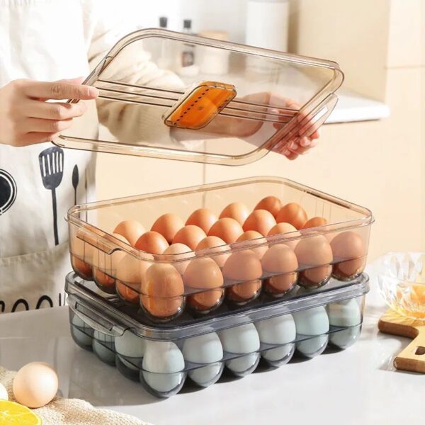 24 grid egg storage box