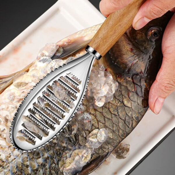 S/Steel Fish Scaler
