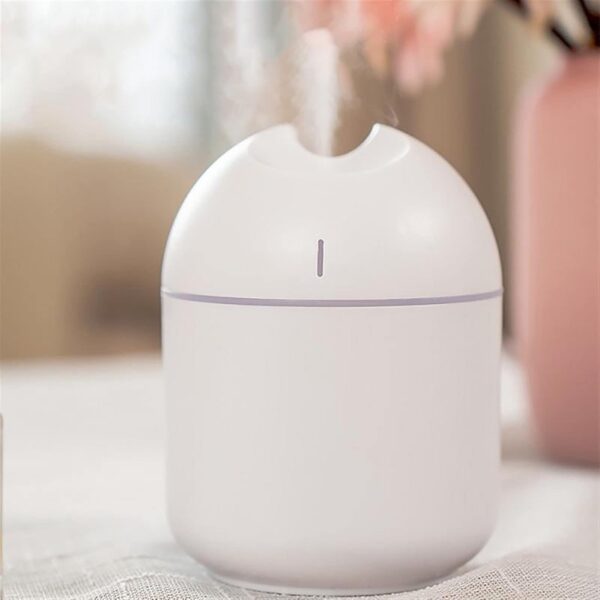 Mini Humidifier 220ml