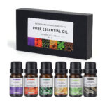 6pc Essential Oil Set