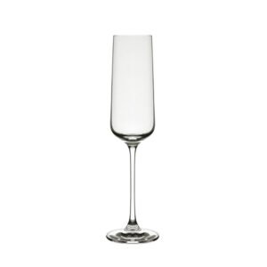 6pc 205ml Champagne Glass Set - EJ6323