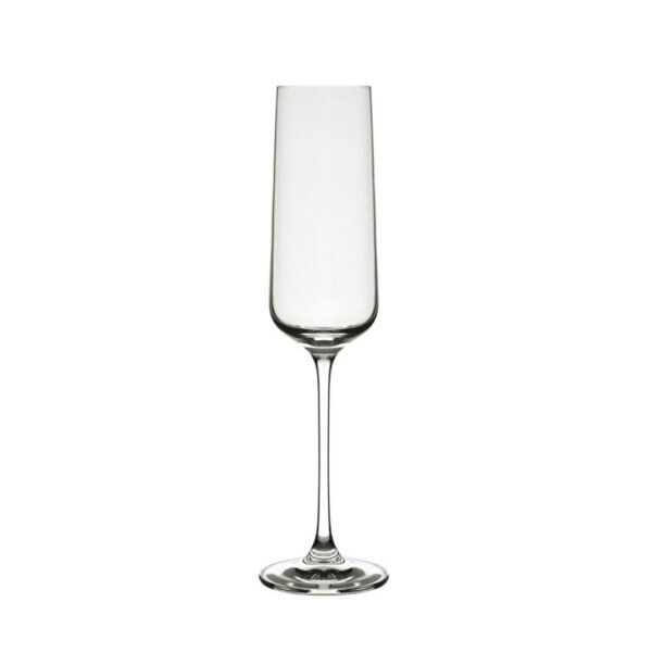 6pc 205ml Champagne Glass Set - EJ6323