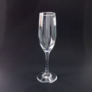 6pc 185ml Champagne Glass Set - L16