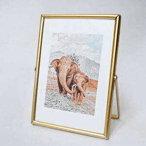 Golden Metal Photo Frame