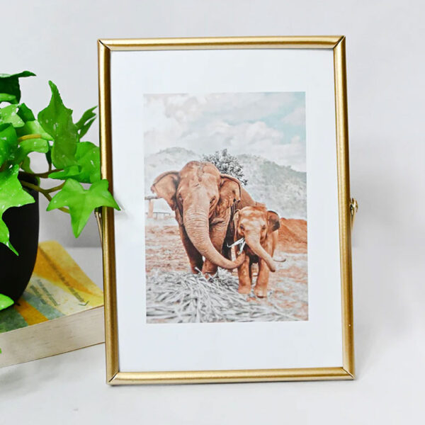 Golden Metal Photo Frame