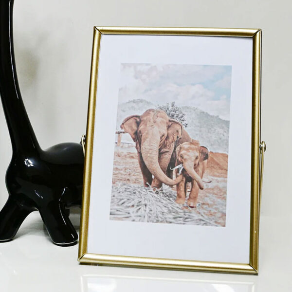 Golden Metal Photo Frame