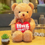 Hug Me Teddy Bear Plush Toy