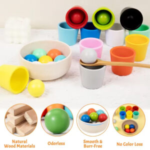 Wooden Color Sorting and Matching Toy for Kids