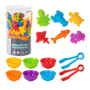 colour-sorting-set-for-kids