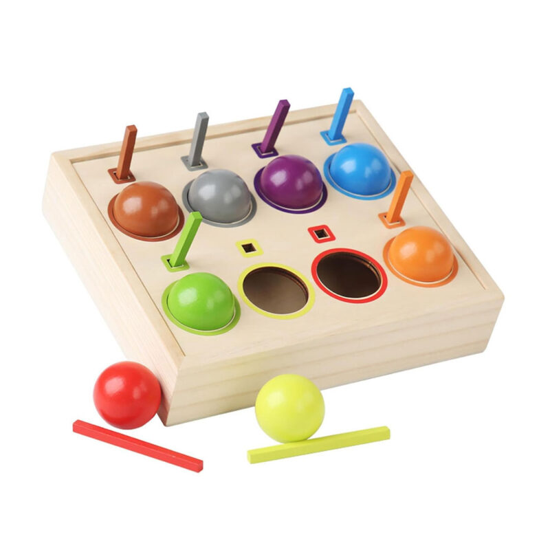 Wooden Color Matching Ball and Stick Toy