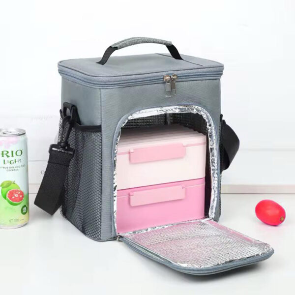 Large Insulated Lunch Bag