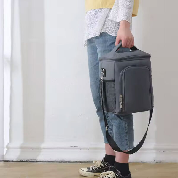 Large Insulated Lunch Bag