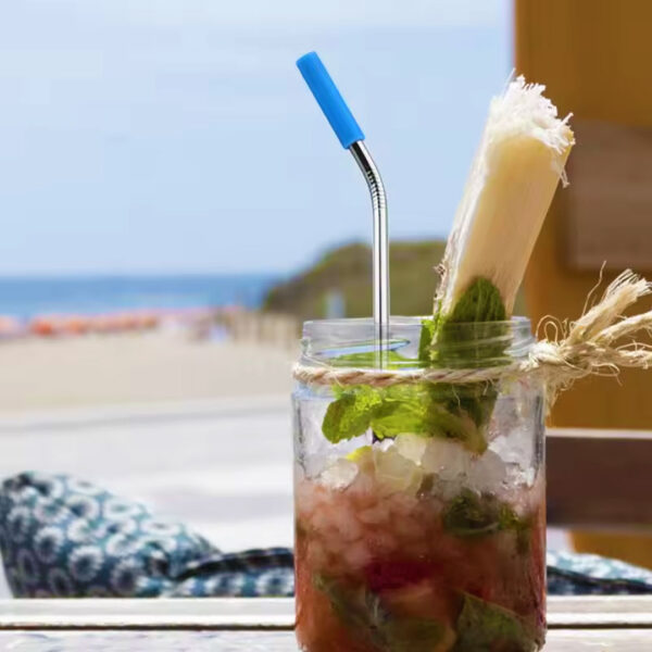 Reusable Stainless Steel Straws