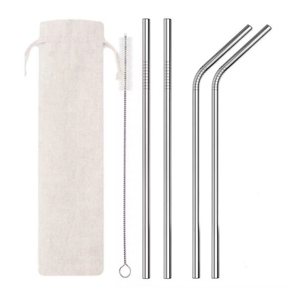 Reusable Stainless Steel Straws Set with Brush & Pouch