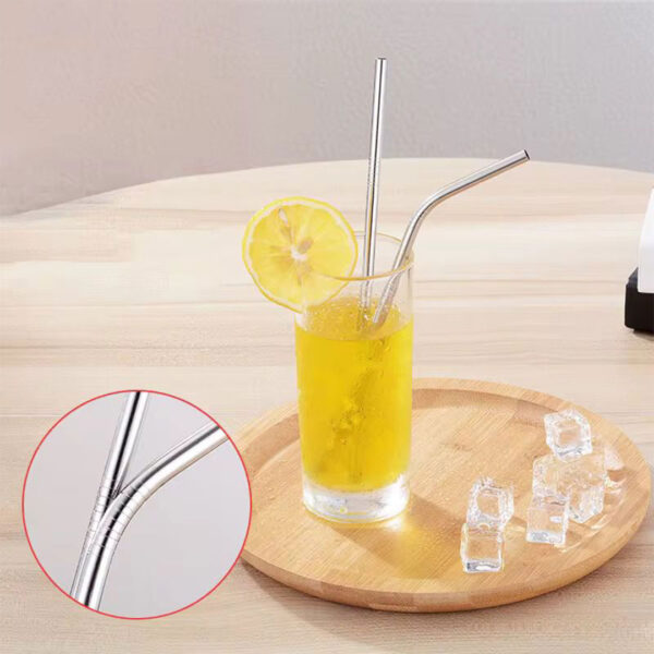 Reusable Stainless Steel Straws Set with Brush & Pouch