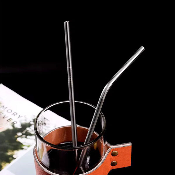 Reusable Stainless Steel Straws Set with Brush & Pouch