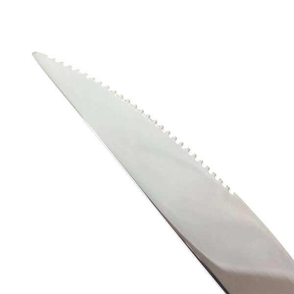 stainless steel steak knives