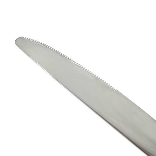 stainless steel table knives