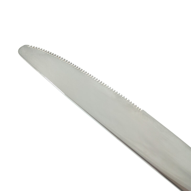 stainless steel table knives