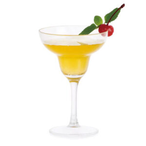 265ml Shatterproof Polycarbonate Margarita Glass