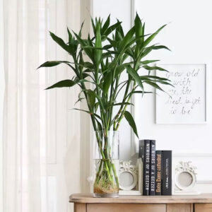 Large Cylindrical Vase
