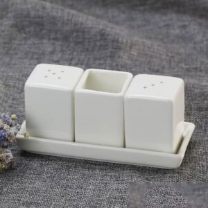 Modern Porcelain Salt and Pepper Shaker Set