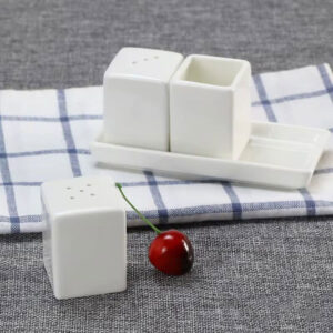 Modern Porcelain Salt and Pepper Shaker Set