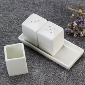 Modern Porcelain Salt and Pepper Shaker Set