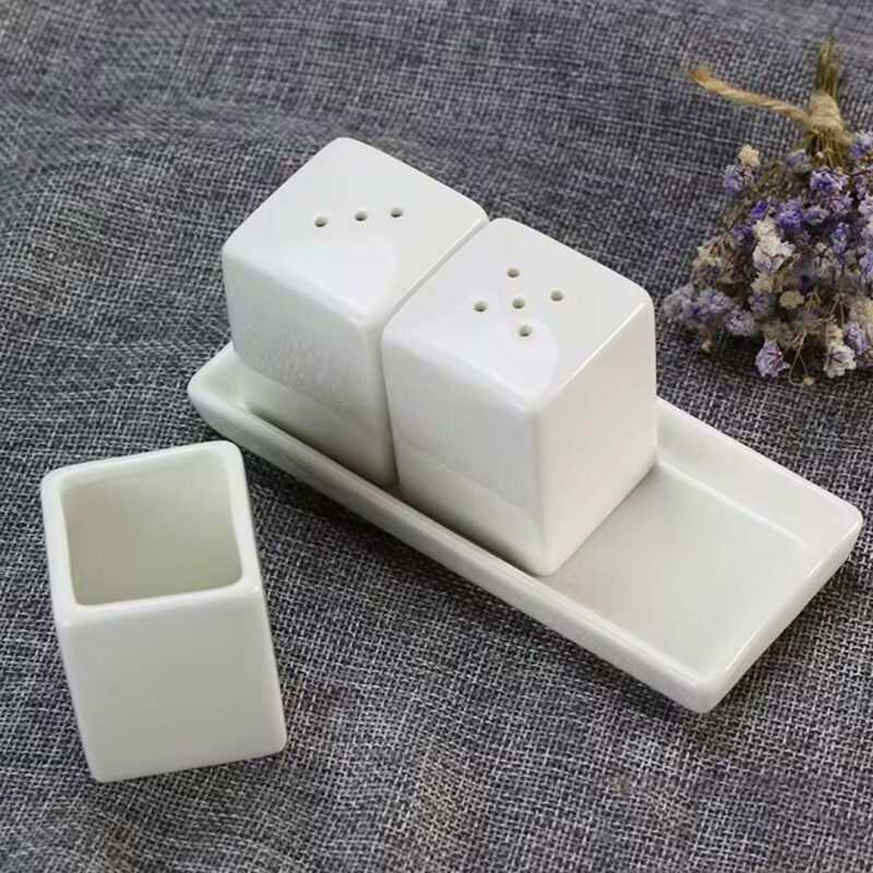 Modern Porcelain Salt and Pepper Shaker Set