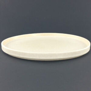26.5cm Ceramic Dinner Plate - Matte Beige