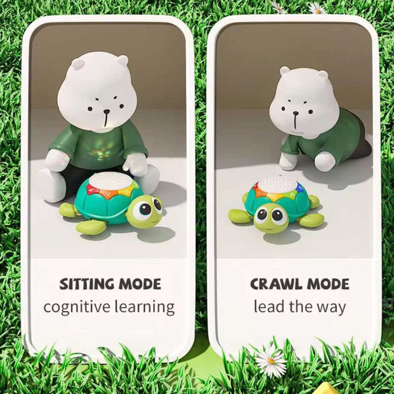 Turtle Crawling Toy with Light Projection & Remote