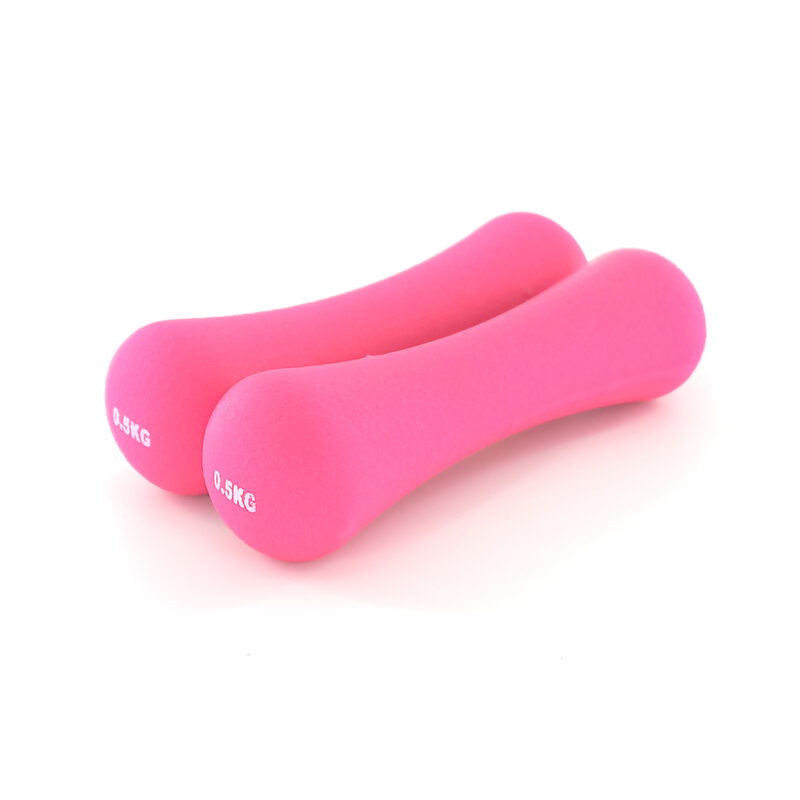 500g-bone-dumbbell-set-