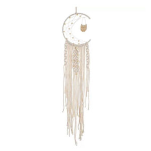 Owl Macrame Wall Hanging Dream Catcher