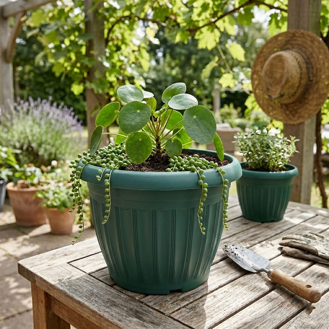 Plastic Flower Pot Planter