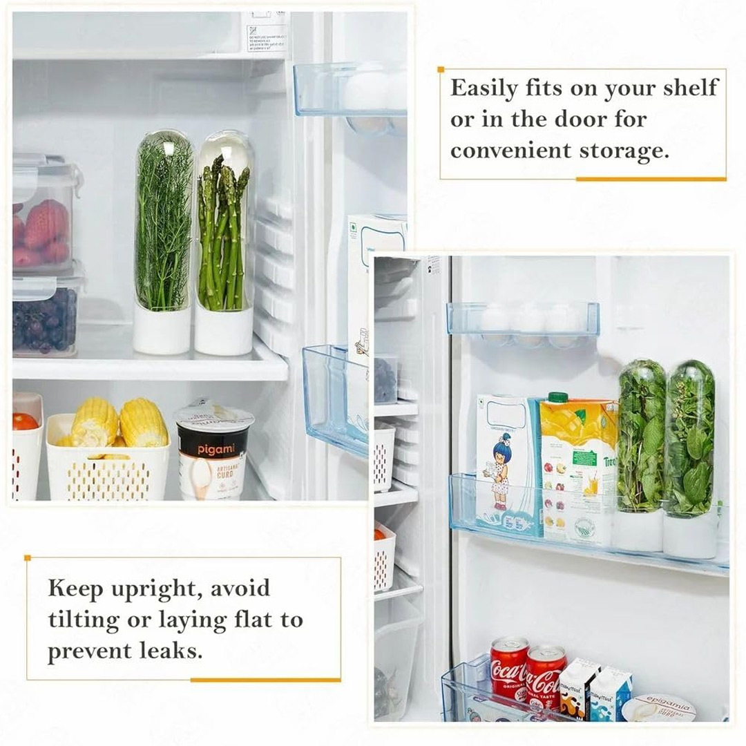 Vertical Fresh Herb Keeper for Longer Lasting Greens