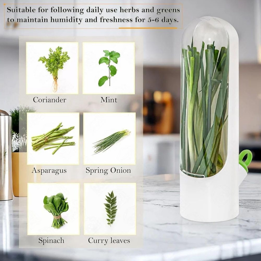 Vertical Fresh Herb Keeper for Longer Lasting Greens