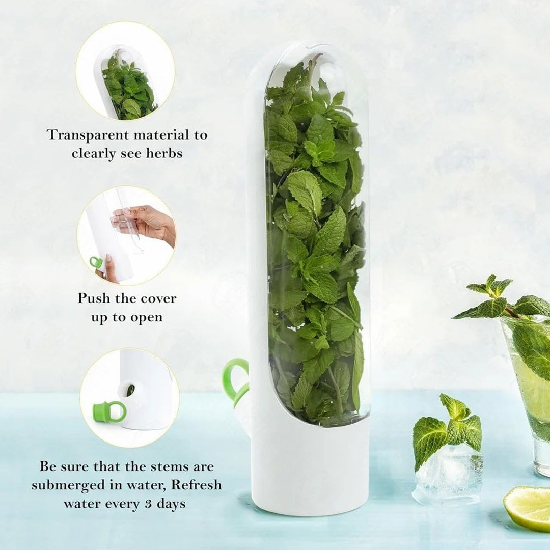 Vertical Fresh Herb Keeper for Longer Lasting Greens